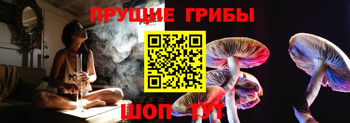 Елизово  цены наркотик  Вход с VPN  Псилоцибиновые грибы прущие грибы  Псилоцибиновые грибы Magic Shrooms 