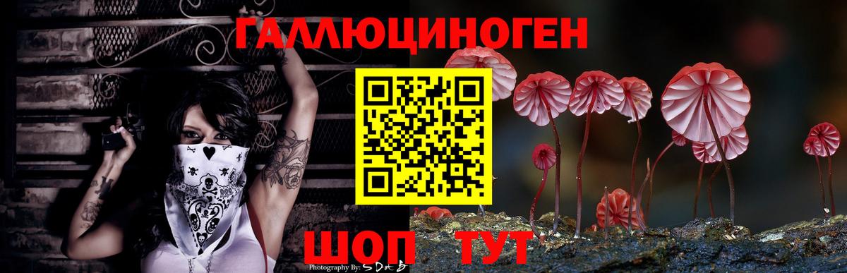 Бошки Шишки  Экстази  ГЕРОИН  МДМА  Елизово  Cocaine  Меф   Гашиш  Вход с VPN 