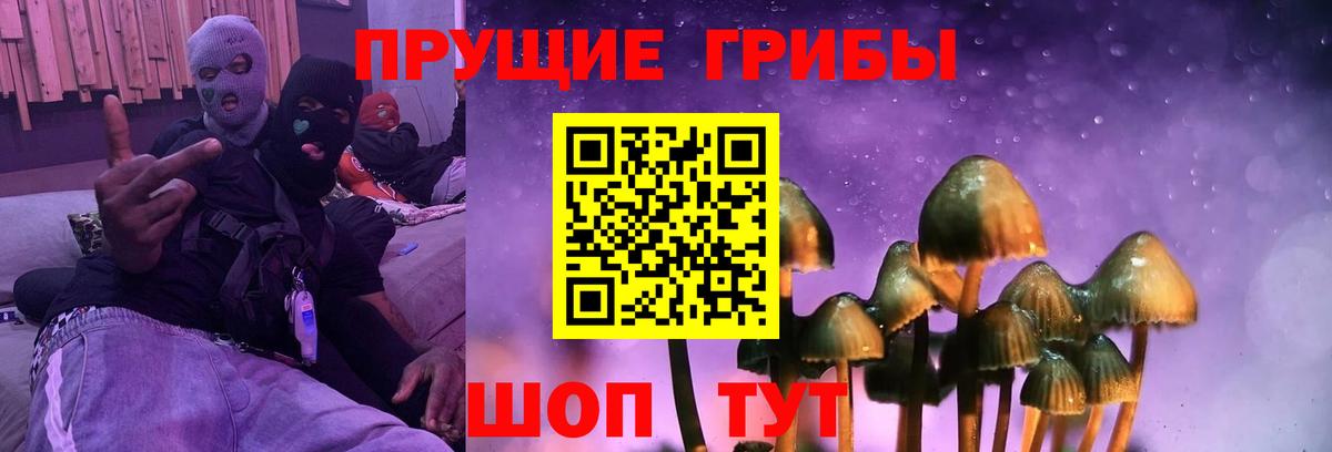 Псилоцибиновые грибы GOLDEN TEACHER Елизово